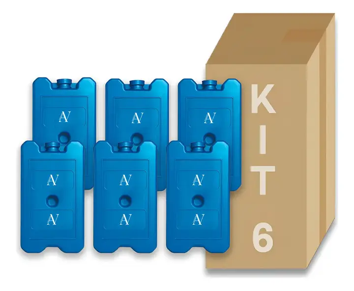 Kit 06 Gelo Gel 200ml Artificial Reutilizável Caixa Cooler Azul